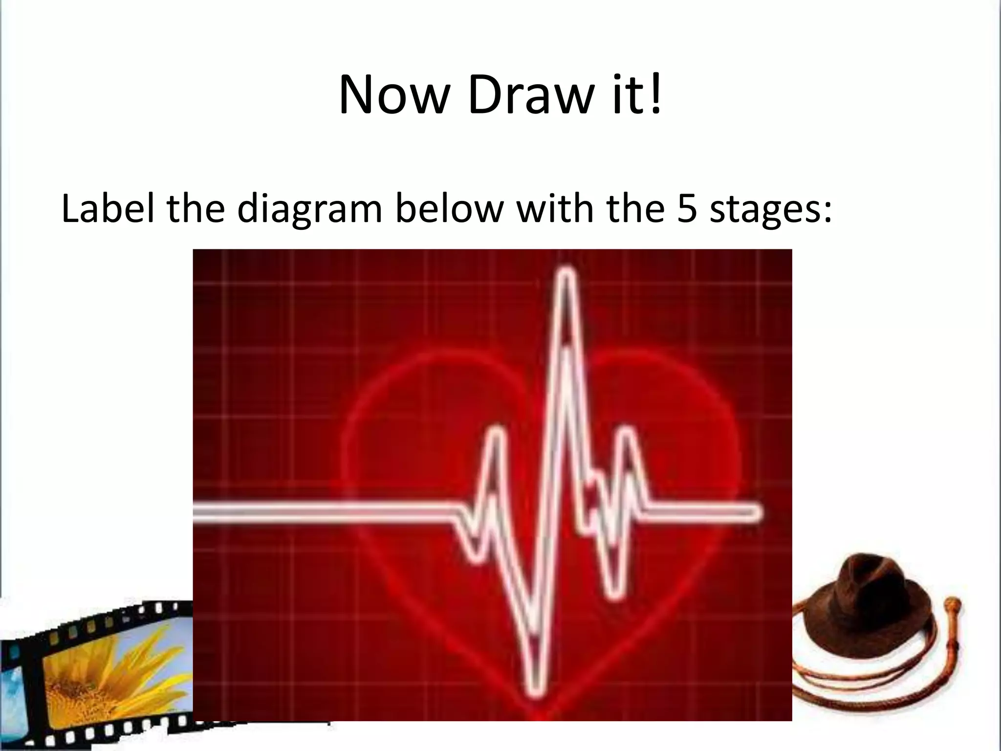 EquilibriumDisruptionAttempt to repairRecognition of DisruptionReinstatement 