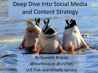 Deep Dive Into Social Media
and Content Strategy
By Danielle Brigida
@Starfocus or @USFWS
U.S. Fish and Wildlife Service Tom Koerner, USFWS
 