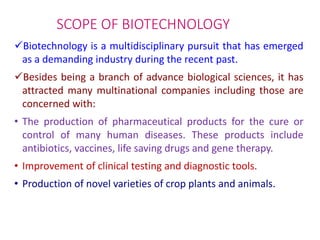 phd biotechnology scope