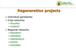 Regeneration projects Individual genebanks Crop networks MusaNet COGENT Regional networks REDARFIT EAPGREN GRENEWECA ECPGR PAPGREN 