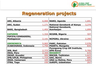 Regeneration projects ARI, Albania 6,000 NARO, Uganda 1,691 ARC, Sudan 1,171 National Genebank of Kenya 3,274 BARI, Bangladesh 1,455 National Genebank, Azerbaijan 1,099 EAPGREN 1,316 NCGRB, Nigeria 327 FOFIFA/CENRADERU, Madagascar 2,141 NCPGRU, Ukraine 2,290 GRENEWECA 5,063 PARC, Pakistan 2,576 ICABIOGRAD, Indonesia 1,750 PSARTI, Mongolia 835 IER, Mali 2,773 Pyongyang Crop GR Institute, DPR Korea  5,700 INIA, Peru 2,359 REDARFIT 672 INIAP, Ecuador 500 RNCGR, Tajikistan  1,623 IPB/UPLB, Philippines 1,719 UAC, Benin 680 IRAD, Cameroon 109 UNA La Molina, Peru 1,644 ITRA, Togo 150 UzRIPI, Uzbekistan 257 