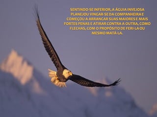 A arma dos derrotados