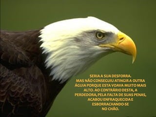 A arma dos derrotados