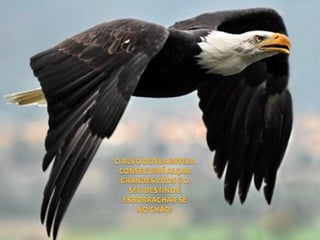 A arma dos derrotados