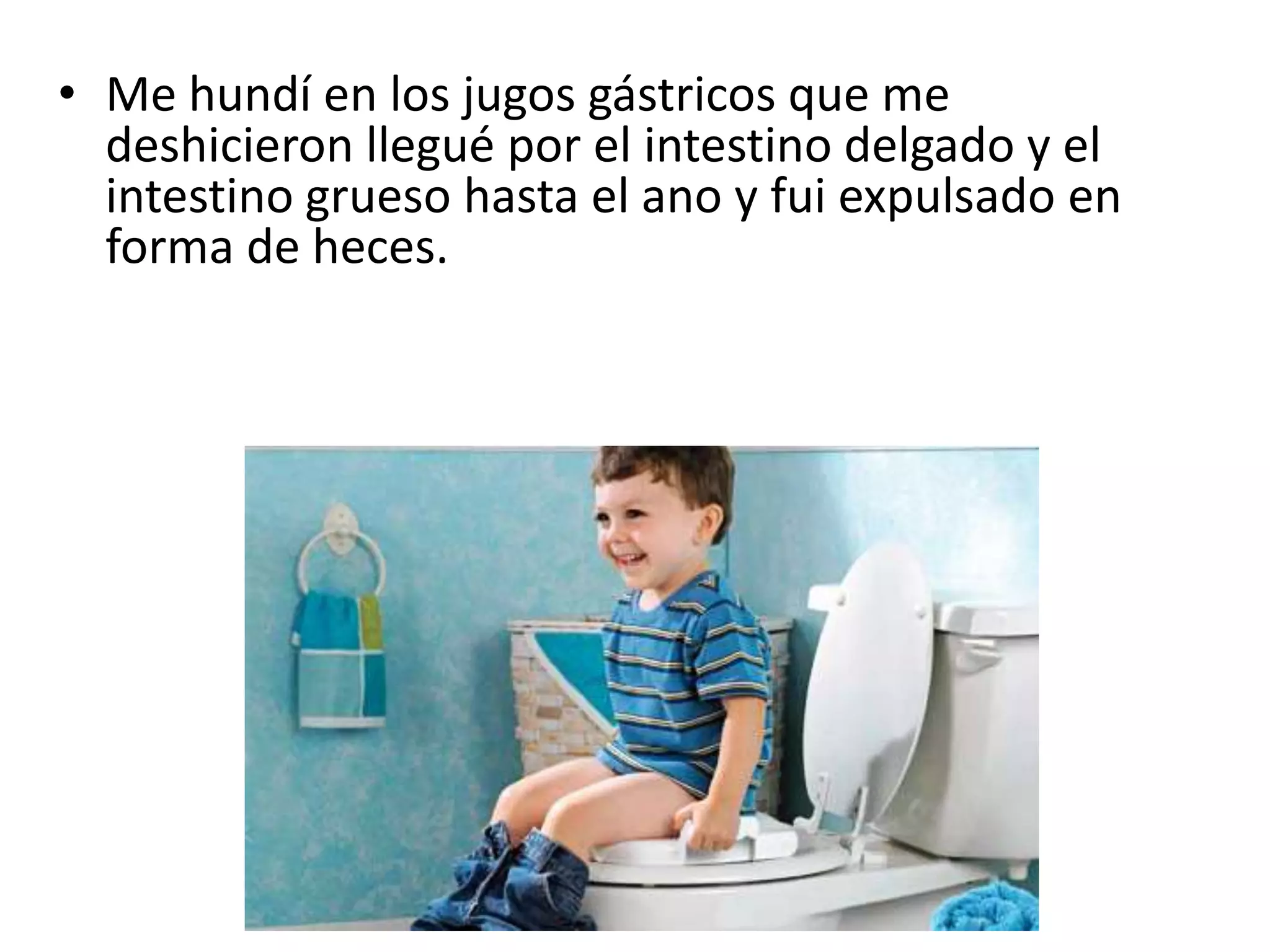 • Me hundí en los jugos gástricos que me
  deshicieron llegué por el intestino delgado y el
  intestino grueso hasta el ano y fui expulsado en
  forma de heces.
 