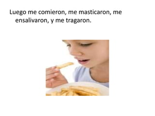 Luego me comieron, me masticaron, me
  ensalivaron, y me tragaron.
 