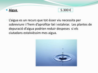  Aigua                                5.300 €

 L’aigua es un recurs que tot ésser viu necessita per
  sobreviure i l’hem d’aprofitar bé i estalviar. Les plantes de
  depuració d’aigua podrien reduir despeses si els
  ciutadans estalviéssim mes aigua.
 