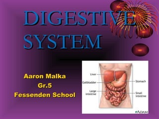 DIGESTIVE   SYSTEM Aaron Malka Gr.5 Fessenden School DIGESTIVE SYSTEM 