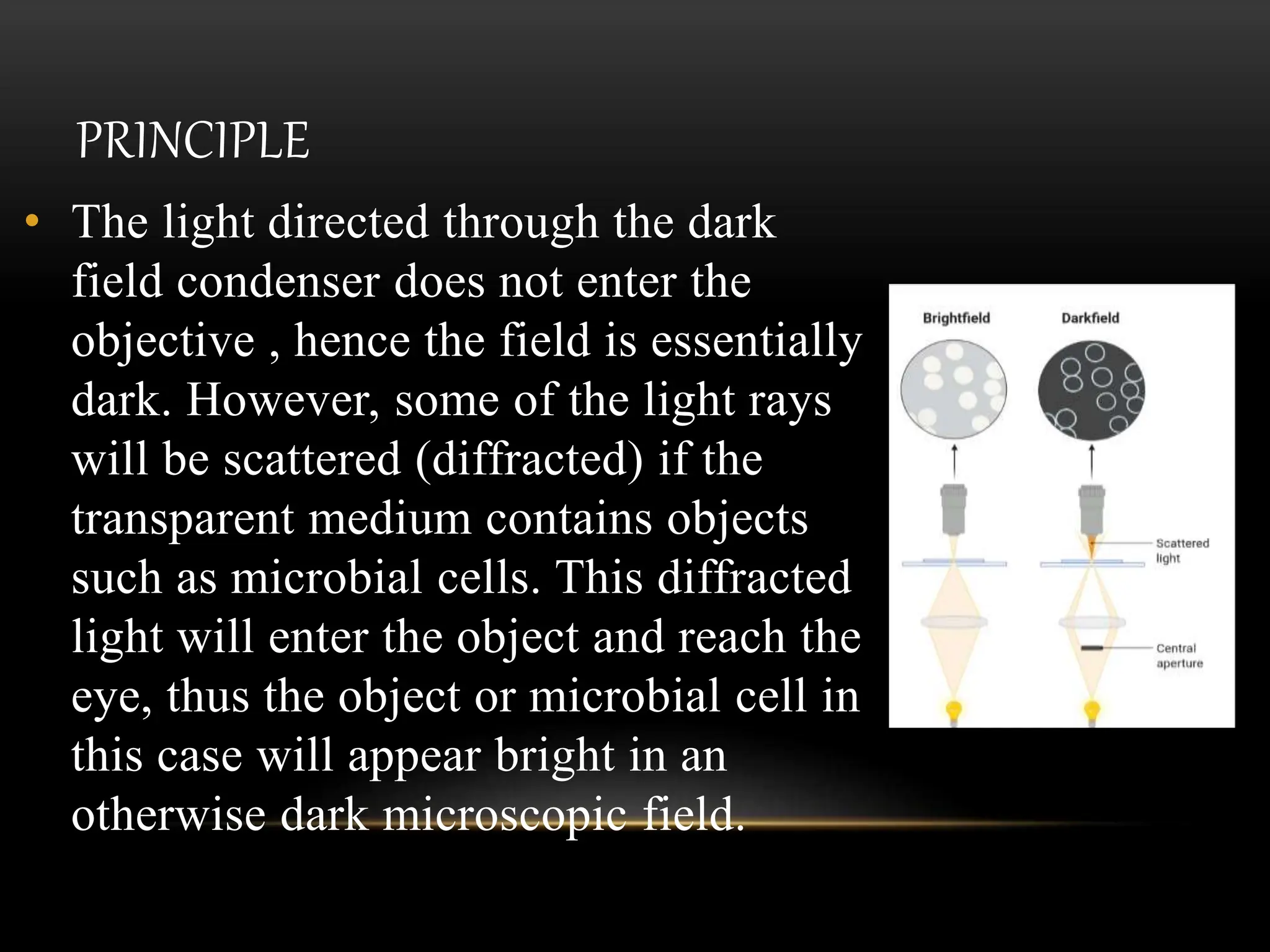 PRINCIPLE
• The light directed through the dark
field condenser does not enter the
objective , hence the field is essentially
dark. However, some of the light rays
will be scattered (diffracted) if the
transparent medium contains objects
such as microbial cells. This diffracted
light will enter the object and reach the
eye, thus the object or microbial cell in
this case will appear bright in an
otherwise dark microscopic field.
 
