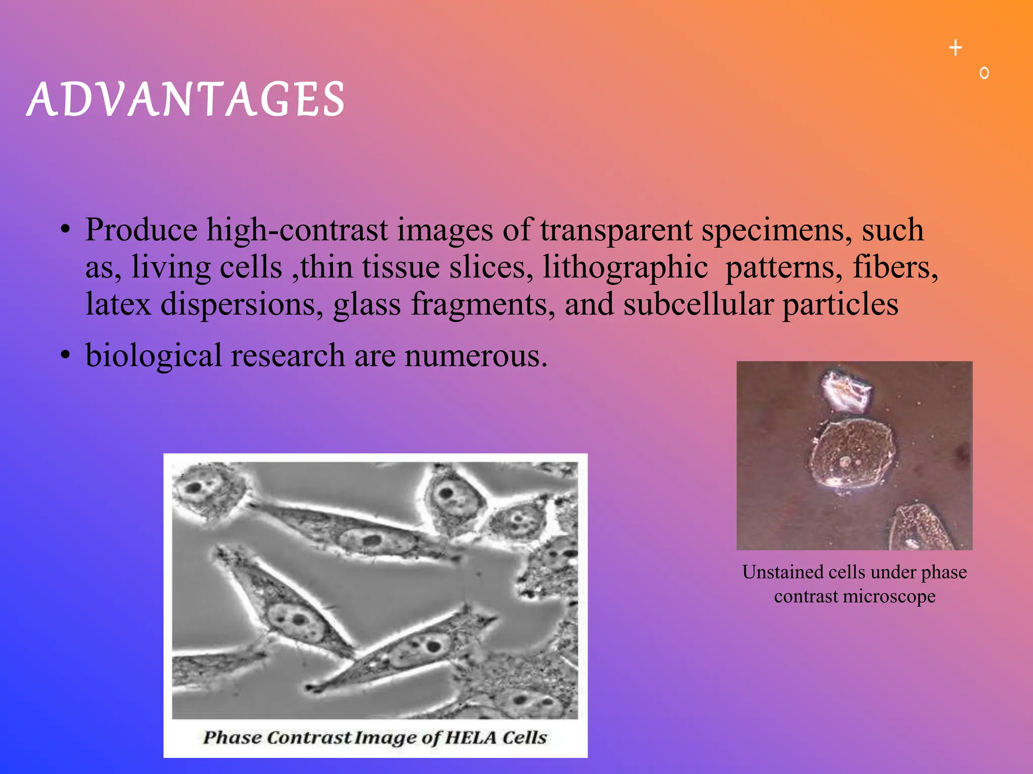 ADVANTAGES
• Produce high-contrast images of transparent specimens, such
as, living cells ,thin tissue slices, lithographic patterns, fibers,
latex dispersions, glass fragments, and subcellular particles
• biological research are numerous.
Unstained cells under phase
contrast microscope
 