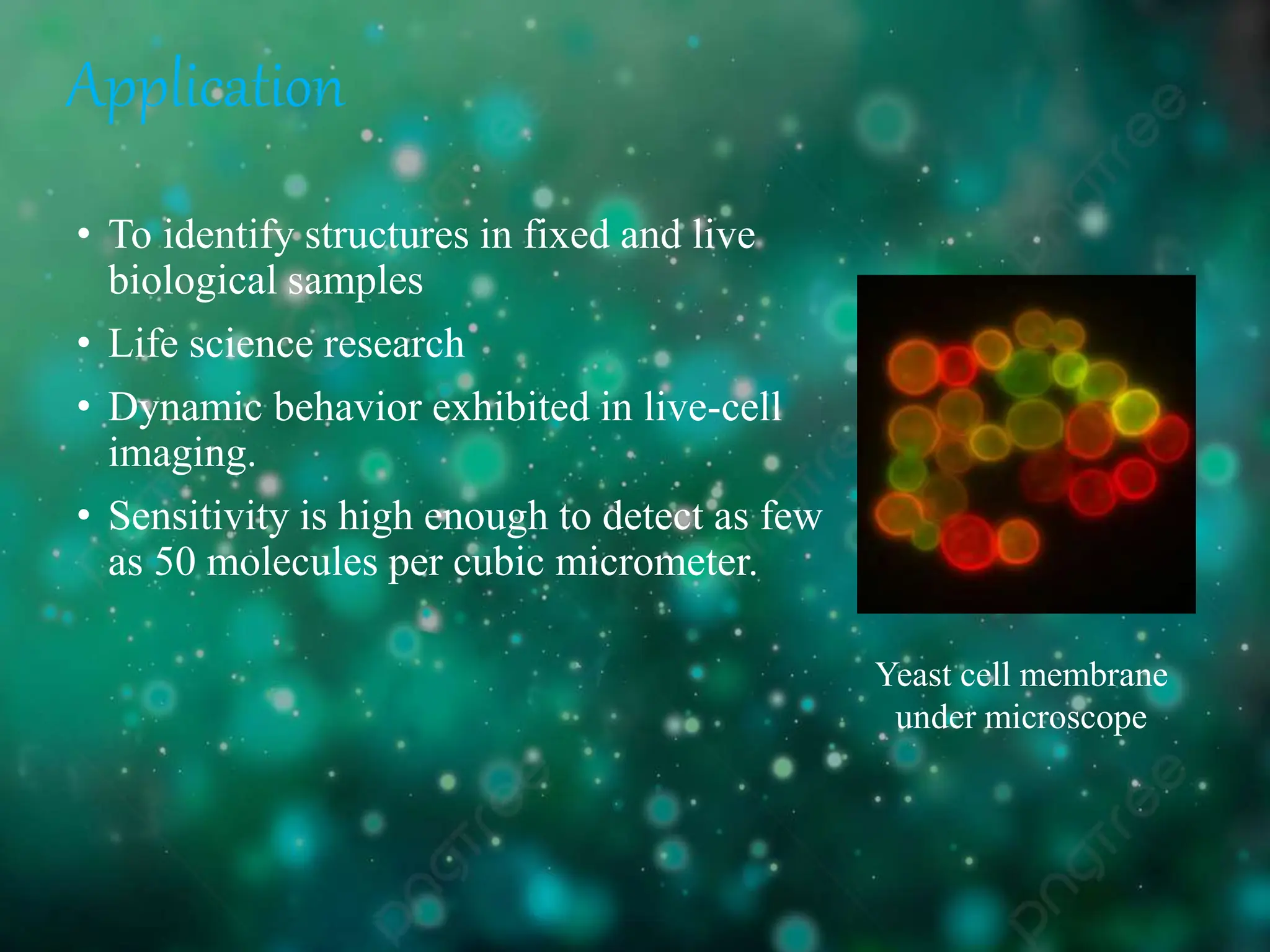 Application
• To identify structures in fixed and live
biological samples
• Life science research
• Dynamic behavior exhibited in live-cell
imaging.
• Sensitivity is high enough to detect as few
as 50 molecules per cubic micrometer.
Yeast cell membrane
under microscope
 