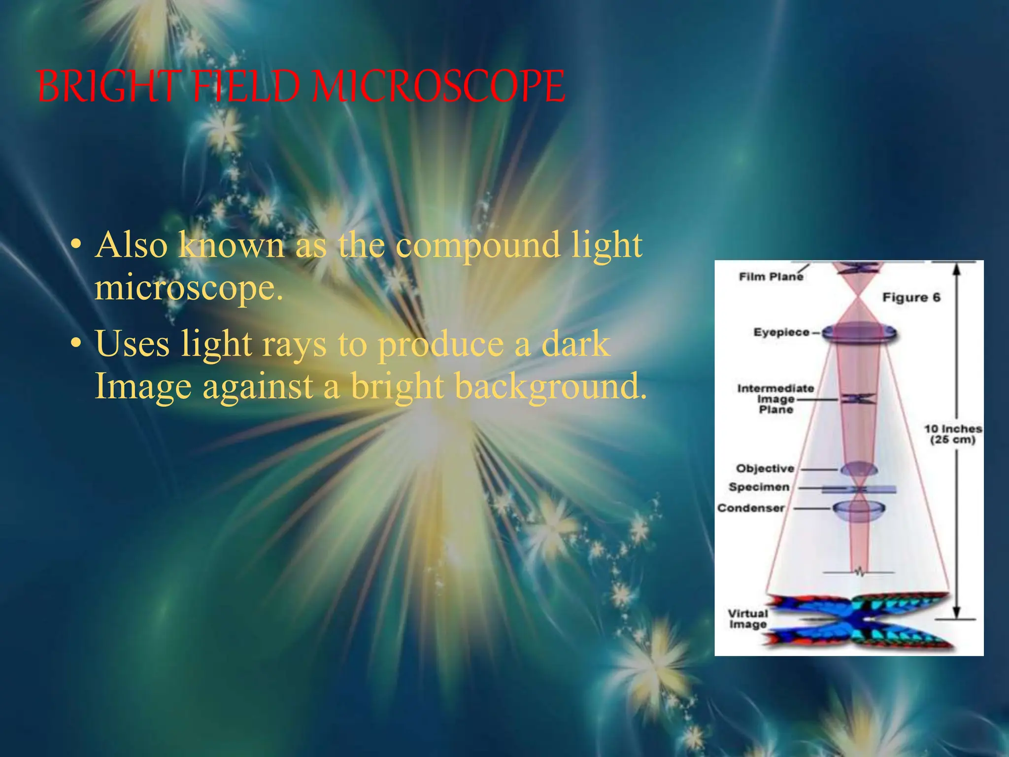 BRIGHT FIELD MICROSCOPE
• Also known as the compound light
microscope.
• Uses light rays to produce a dark
Image against a bright background.
 