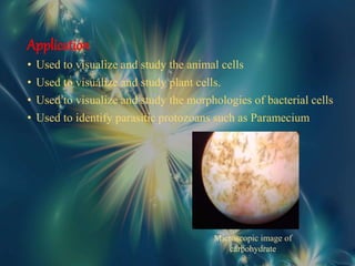 Application
• Used to visualize and study the animal cells
• Used to visualize and study plant cells.
• Used to visualize and study the morphologies of bacterial cells
• Used to identify parasitic protozoans such as Paramecium
Microscopic image of
carbohydrate
 