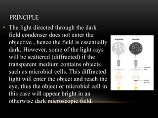 PRINCIPLE
• The light directed through the dark
field condenser does not enter the
objective , hence the field is essentially
dark. However, some of the light rays
will be scattered (diffracted) if the
transparent medium contains objects
such as microbial cells. This diffracted
light will enter the object and reach the
eye, thus the object or microbial cell in
this case will appear bright in an
otherwise dark microscopic field.
 