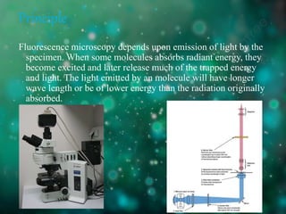 Principle
Fluorescence microscopy depends upon emission of light by the
specimen. When some molecules absorbs radiant energy, they
become excited and later release much of the trapped energy
and light. The light emitted by an molecule will have longer
wave length or be of lower energy than the radiation originally
absorbed.
 
