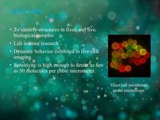 Application
• To identify structures in fixed and live
biological samples
• Life science research
• Dynamic behavior exhibited in live-cell
imaging.
• Sensitivity is high enough to detect as few
as 50 molecules per cubic micrometer.
Yeast cell membrane
under microscope
 