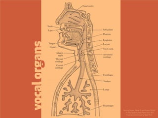 The Vowel R - Ignite Portland 9