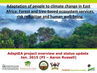 THINKING beyond the canopy
AdaptEA project overview and status update
Jan. 2015 (PI – Aaron Russell)
Adaptation of people to climate change in East
Africa: Forest and tree-based ecosystem services,
risk reduction and human well-being.
 