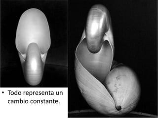 • Todo representa un
cambio constante.
 