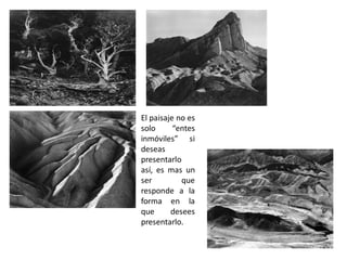 El paisaje no es
solo “entes
inmóviles” si
deseas
presentarlo
así, es mas un
ser que
responde a la
forma en la
que desees
presentarlo.
 
