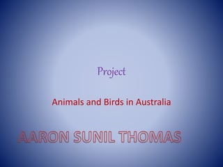 Project
Animals and Birds in Australia
 