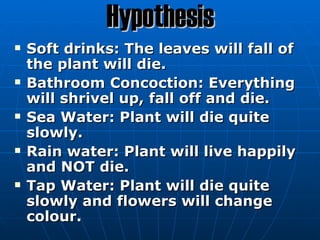 Hypothesis
   Soft drinks: The leaves will fall of
    the plant will die.
   Bathroom Concoction: Everything
    will shrivel up, fall off and die.
   Sea Water: Plant will die quite
    slowly.
   Rain water: Plant will live happily
    and NOT die.
   Tap Water: Plant will die quite
    slowly and flowers will change
    colour.
 