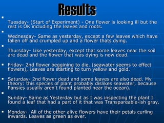 
                          Results
    Tuesday- (Start of Experiment) - One flower is looking ill but the
    rest is OK including the leaves and roots.

    Wednesday- Same as yesterday, except a few leaves which have
    fallen off and crumpled up and a flower thats dying.

    Thursday- Like yesterday, except that some leaves near the soil
    are dead and the flower that was dying is now dead.
   Friday- 2nd flower beggining to die. (seawater seems to effect
    flowers), Leaves are starting to turn yellow and gold.
   Saturday- 2nd flower dead and some leaves are also dead. My
    theory: this species of plant probably dislikes seawater, because
    Pansies usually aren't found planted near the ocean).

    Sunday- Same as Yesterday but as I was inspecting the plant I
    found a leaf that had a part of it that was Transpareable-ish gray.
   Monday- All of the other alive flowers have their petals curling
    inwards. Leaves as green as ever.
 