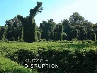 K U D Z U =
D I S R U P T I O N
 