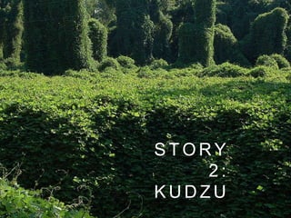 S T O R Y
2 :
K U D Z U
 