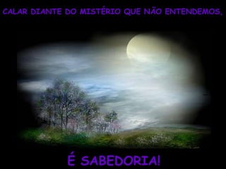 CALAR DIANTE DO MISTÉRIO QUE NÃO ENTENDEMOS, É SABEDORIA! 