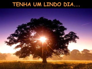 TENHA UM LINDO DIA... 