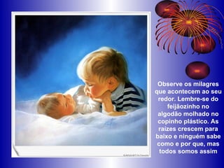 Observe os milagres que acontecem ao seu redor. Lembre-se do feijãozinho no algodão molhado no copinho plástico. As raízes crescem para baixo e ninguém sabe como e por que, mas todos somos assim 