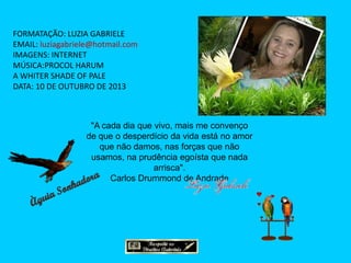 FORMATAÇÃO: LUZIA GABRIELE
EMAIL: luziagabriele@hotmail.com
IMAGENS: INTERNET
MÚSICA:PROCOL HARUM
A WHITER SHADE OF PALE
DATA: 10 DE OUTUBRO DE 2013

"A cada dia que vivo, mais me convenço
de que o desperdício da vida está no amor
que não damos, nas forças que não
usamos, na prudência egoísta que nada
arrisca".
Carlos Drummond de Andrade

 