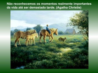 Não reconhecemos os momentos realmente importantes da vida até ser demasiado tarde. (Agatha Christie) 