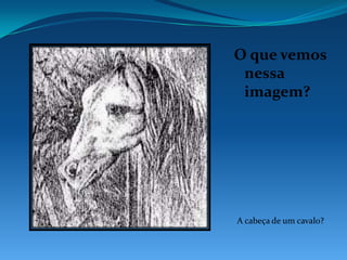 Demos um giro de 90° na imagem.<br />E agora, qual imagem estamos vendo?<br />Um sapo?<br />