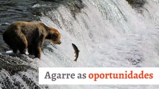 Agarre as oportunidades
 