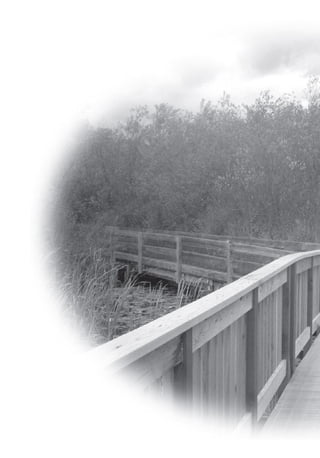 A arte do gerenciamento de projetos