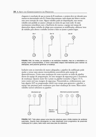 A arte do gerenciamento de projetos