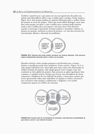 A arte do gerenciamento de projetos