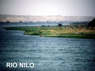 RIO NILO