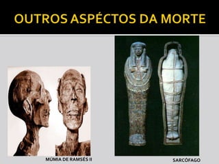 MÚMIA DE RAMSÉS II   SARCÓFAGO
 
