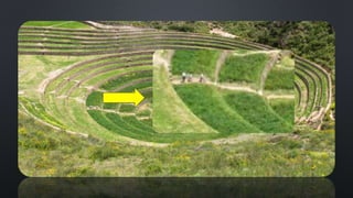 A arte pré colombiana e novo