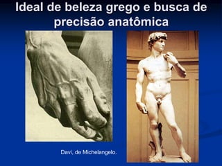 Ideal de beleza grego e busca de 
precisão anatômica 
Davi, de Michelangelo. 
 