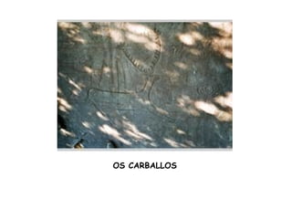 OS CARBALLOS
 