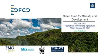 Dutch Fund for Climate and
Development
OECD & FAO
Roundtable on Financing Agricultural
Water, January 28, 2021
www.thedfcd.com
 