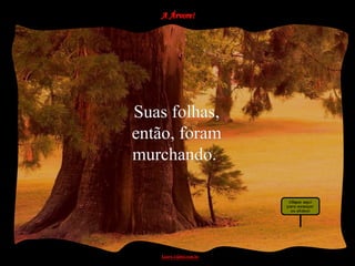 Suas folhas,
então, foram
murchando.
 