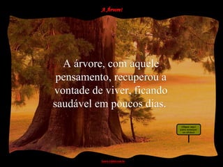 A árvore, com aquele
 pensamento, recuperou a
vontade de viver, ficando
saudável em poucos dias.
 