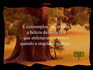 E contemplou, encantada,
   a beleza da linda flor
  que enfeitava seu tronco
quando a orquídea se abriu.
 