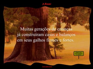 Muitas gerações de crianças
já construíram casas e balanços
em seus galhos firmes e fortes.
 