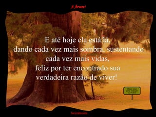 E até hoje ela está lá,
dando cada vez mais sombra, sustentando
          cada vez mais vidas,
      feliz por ter encontrado sua
      verdadeira razão de viver!
 